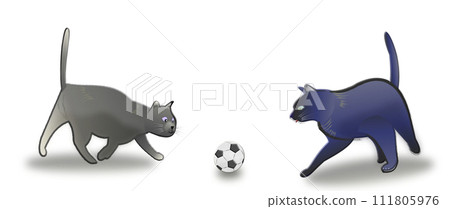 Cat soccer, kickoff, founding, beginning Cat soccer, kickoff, founding, beginning 111805976