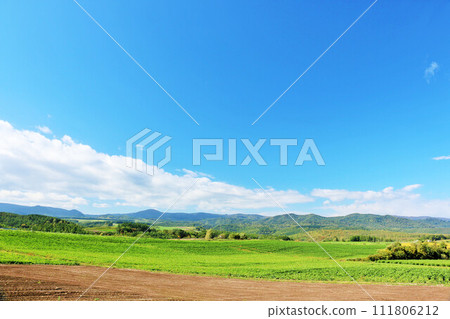 Hokkaido summer blue sky and Biei landscape 111806212