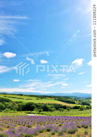 Hokkaido summer blue sky and lavender scenery Hokkaido summer blue sky and lavender scenery 111806224