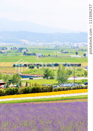 Landscape of the summer lavender field and Norocco train running Landscape of the summer lavender field and Norocco train running 111806257