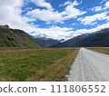 A path and sheep through a pasture in Aspiring, New Zealand 111806552