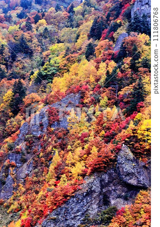 Autumn leaves of Hoheikyo Dam in Hokkaido 111806768