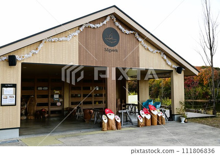 Autumn at Akebono Children's Forest Park (Lake Miyazawa) 111806836