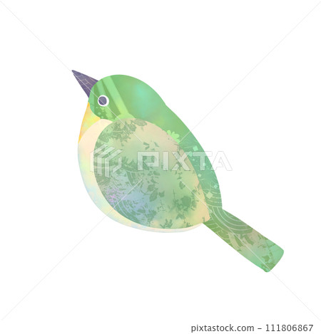 White-eye 111806867