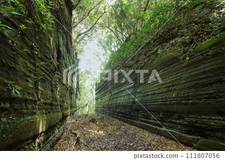 Old road cut in Makura, Tateyama City, Chiba Prefecture 111807056