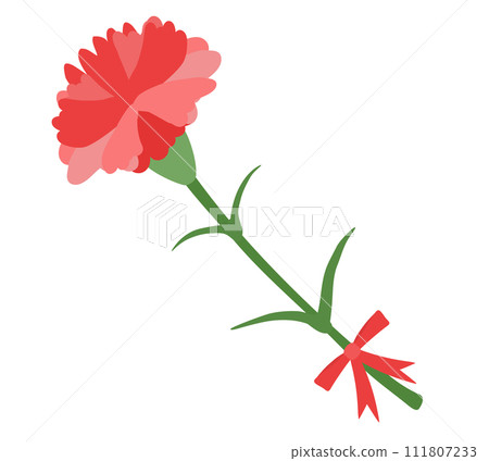 紅色康乃馨的插圖 111807233