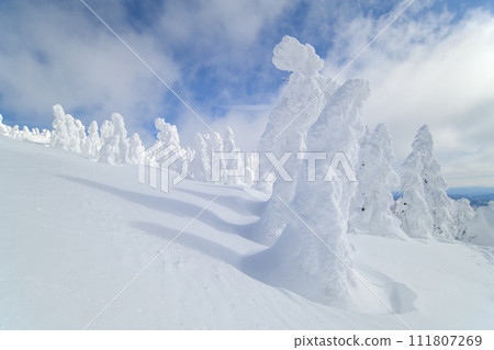 Mt. Moriyoshi in winter, spectacular view of Juhyodaira, Akita Prefecture 111807269