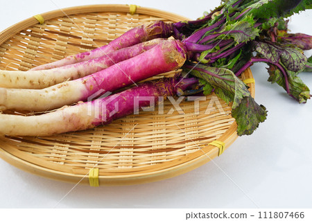 傳統蔬菜 芥末 傳統蔬菜 芥末 111807466