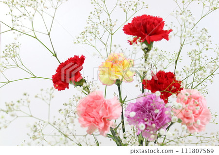 Carnations & gypsophila (close-up, full screen, no people) Carnations & gypsophila (close-up, full screen, no people) 111807569