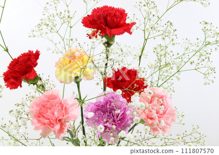 Carnations & gypsophila (close-up, full screen, no people) Carnations & gypsophila (close-up, full screen, no people) 111807570