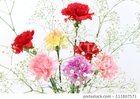 Carnations & gypsophila (close-up, full screen, no people) Carnations & gypsophila (close-up, full screen, no people) 111807571