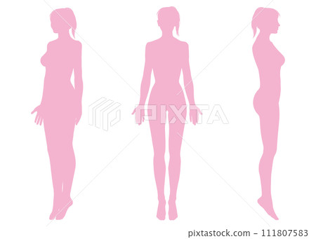 馬尾辮女性上半身正面、側面和對角線輪廓的插圖集 111807583