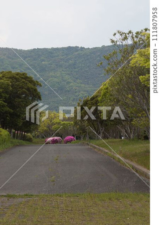 road surrounded by mountains 111807958