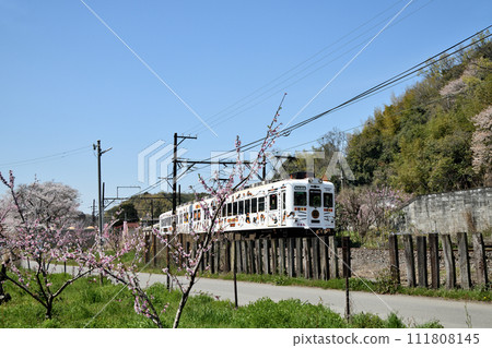 Train running near Oike Yuen Station (Wakayama Electric Railway Kishigawa Line) [Kishigawa-cho, Kinokawa City, Wakayama Prefecture] 111808145