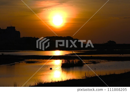 Morning river view and wild birds 111808205