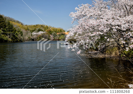 Oike Amusement Park [Kishigawa-cho, Kinokawa City, Wakayama Prefecture] 111808268