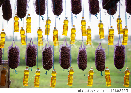 Sunflower oil and potatoes are sold at the agricultural fair. Sunflower oil and potatoes are sold at the agricultural fair. 111808395