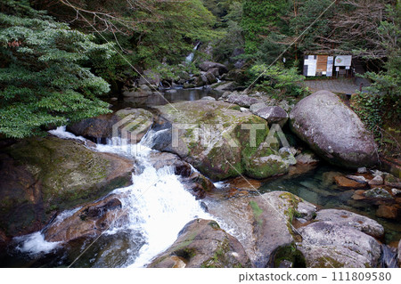 Yakushima Shiratani Unsuikyo entrance valley 111809580