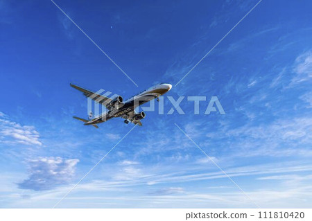 Sendai Airport at dusk, airplane landing, Natori City, Miyagi Prefecture 111810420