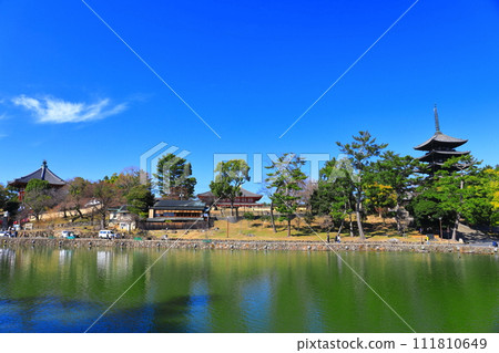 [Nara Prefecture] Kofuku-ji Temple in sunny weather (five-storied pagoda, Chukondo, and Nanendo) 111810649