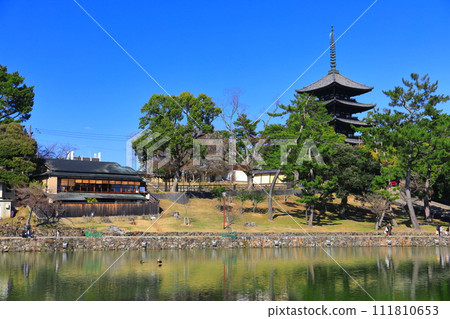 [奈良縣]晴天的興福寺（五層寶塔和猿澤池） 111810653
