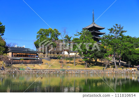 [奈良縣]晴天的興福寺（五層寶塔和猿澤池） 111810654