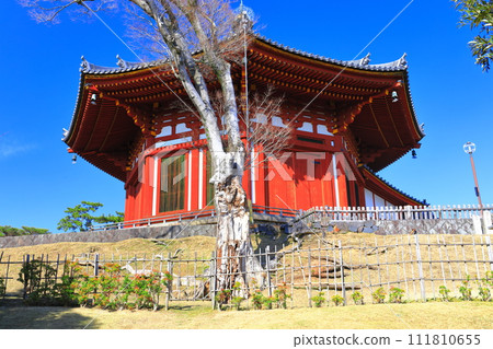 [奈良縣]晴天的興福寺（南尾堂） 111810655