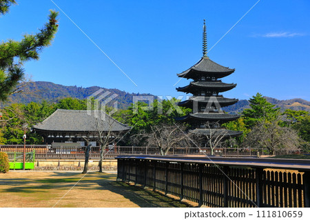 [奈良縣]晴天的興福寺（東金殿和五層塔） 111810659