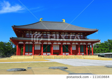 [奈良縣]晴天的興福寺（中近堂） 111810664