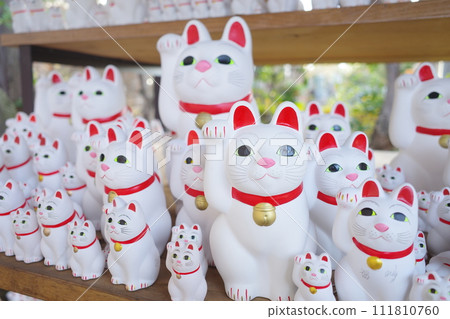 The lucky cat of Futatsukuji The lucky cat of Futatsukuji 111810760