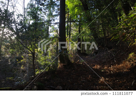 Mountain climbing in Tanzawa 111811077