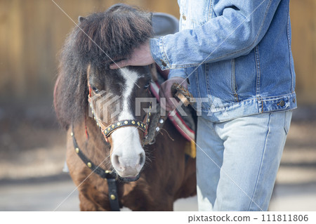 Hand stroking a pony horse.The owner and the horse. Hand stroking a pony horse.The owner and the horse. 111811806