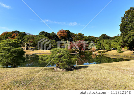 Landscape in Rikugien 111812148