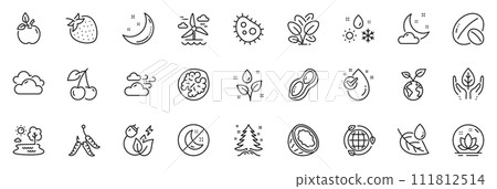 Icons pack as Fair trade, Soy nut and Bacteria line icons for app include Water drop, Eco food, Moon stars outline thin icon web set. Cherry, Windy weather, Eco energy pictogram. Lake. Vector 111812514