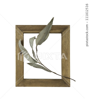 eucalyptus branch and wooden frame composition isolated on white background 111812516
