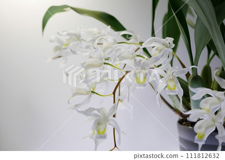 科能中間體 20230207 科能中間體 20230207 111812632