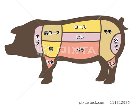 Illustration of pig parts Illustration of pig parts 111812925