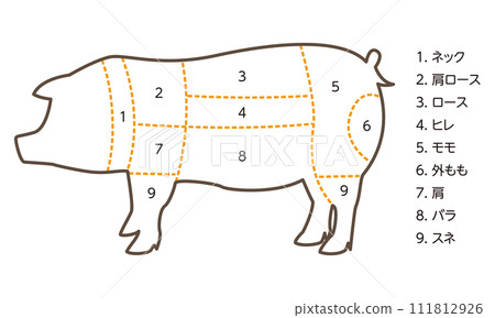 Illustration of pig parts Illustration of pig parts 111812926