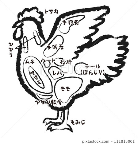 雞各部位圖解 雞各部位圖解 111813001