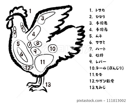 Illustration of chicken parts Illustration of chicken parts 111813002