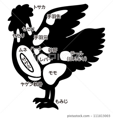 Illustration of chicken parts 111813003