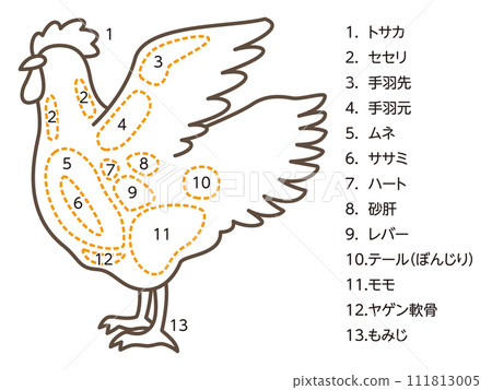 Illustration of chicken parts Illustration of chicken parts 111813005