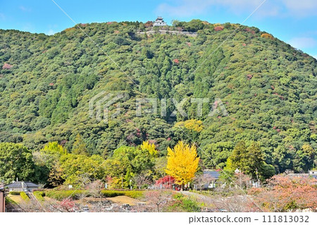 週國:岩國城的天守閣、石牆、弧形環、秋景 週國:岩國城的天守閣、石牆、弧形環、秋景 111813032