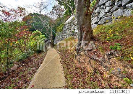 週國:岩國城的天守閣、石牆、弧形環、秋景 週國:岩國城的天守閣、石牆、弧形環、秋景 111813034
