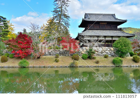 Suo Province: Iwakuni Castle's castle tower, stone wall, curved ring, and view in autumn 111813057