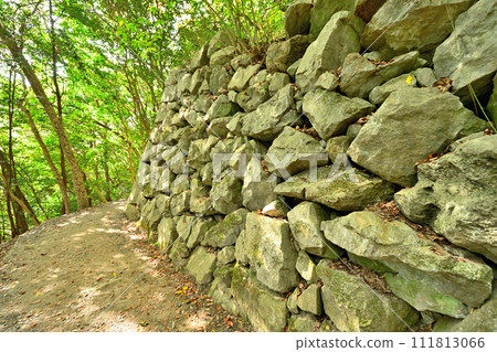 Suo Province: Iwakuni Castle's castle tower, stone wall, curved ring, and view in autumn 111813066