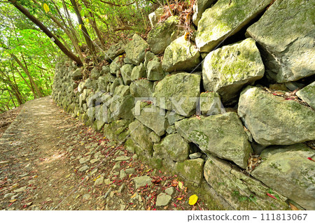 Suo Province: Iwakuni Castle's castle tower, stone wall, curved ring, and view in autumn 111813067