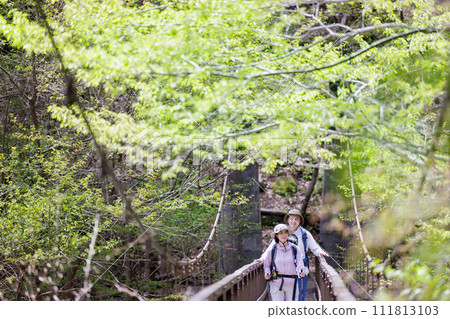 couple hiking in the mountains 111813103