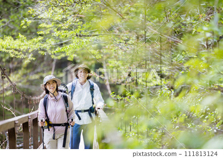 couple hiking in the mountains 111813124