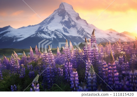 Blooming meadow among mountains. High peaks and flowers. Beauty in nature. 111815420